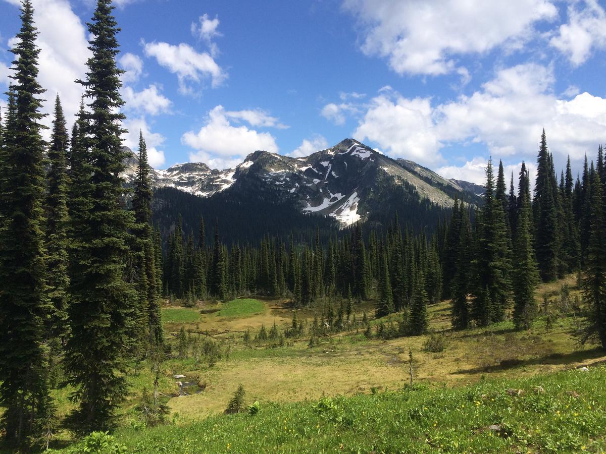 Alpenrose Revelstoke Bed & Breakfast Luaran gambar